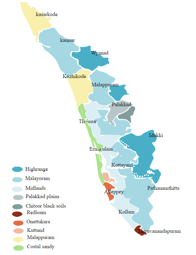 Awesome places to visit in Kerala